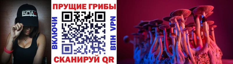 Купить где  Балахна  Галлюциногенные грибы GOLDEN TEACHER 